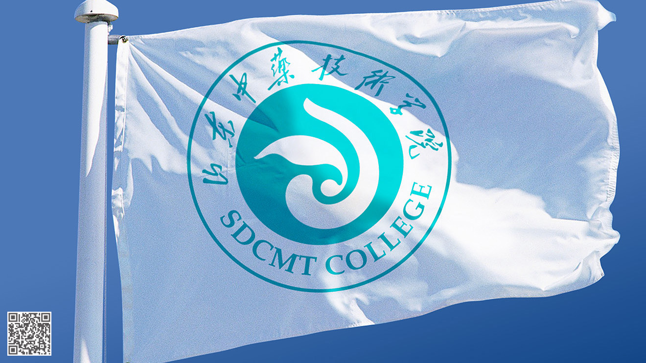 山東中藥技術(shù)學院品牌形象VI設計