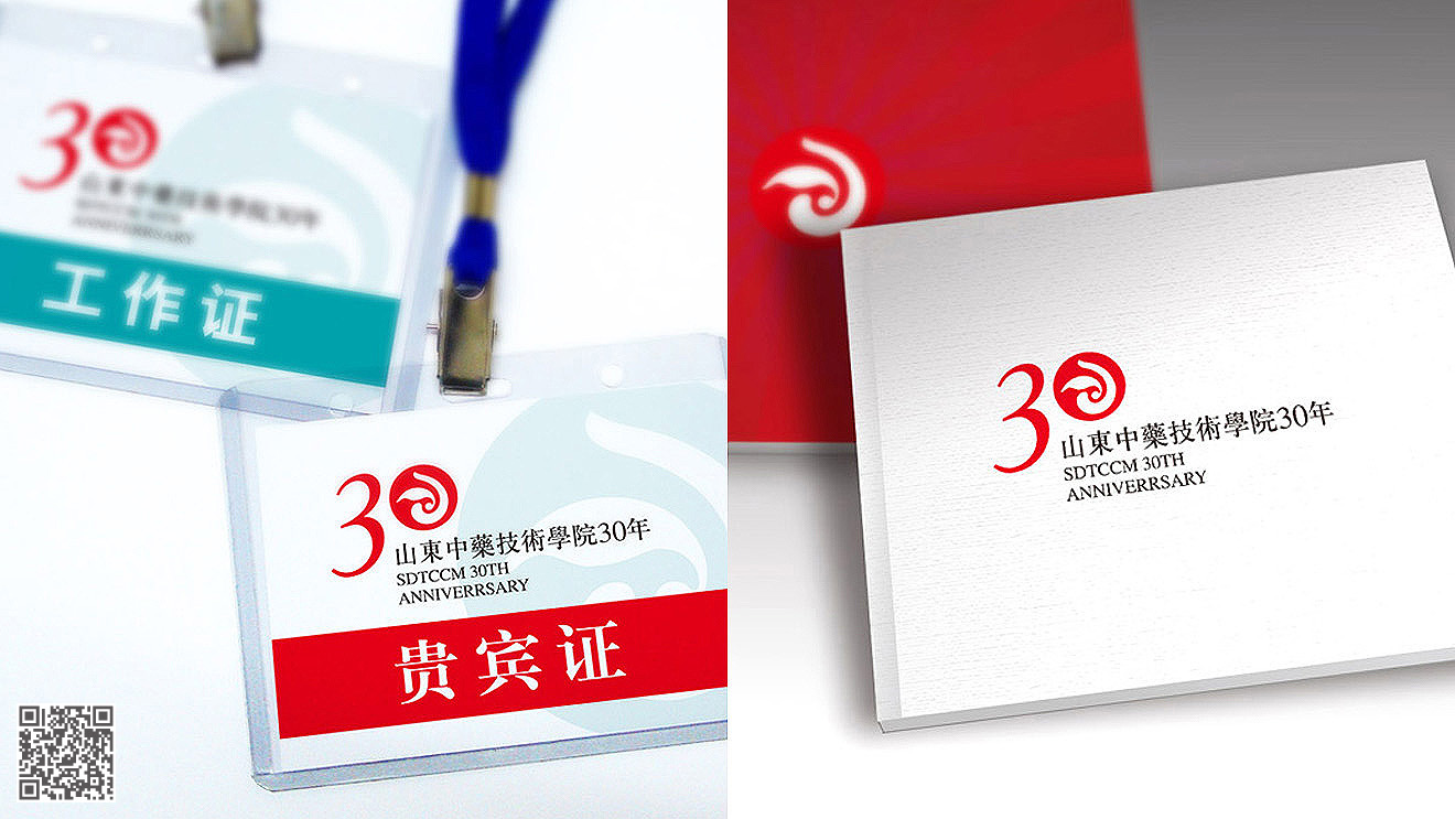 山東中藥技術(shù)學院品牌形象VI設計