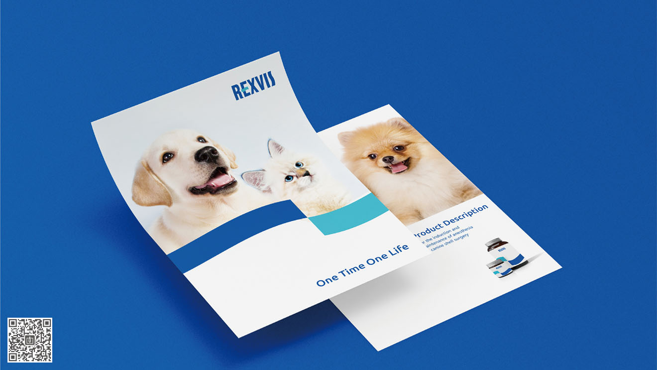 REXVIS力維士品牌&營銷包裝策劃設(shè)計(jì)